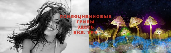 скорость Лиски