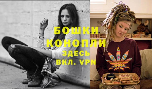 скорость Лиски
