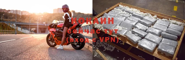 скорость Лиски